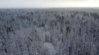 ポーランド・ベラルーシ国境　白銀の森に「凍結」された移民危機