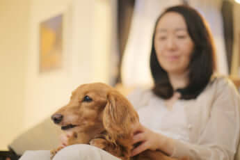 シニアイメージ