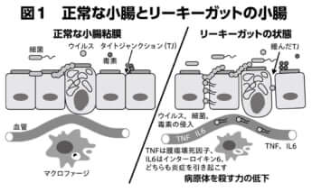 図