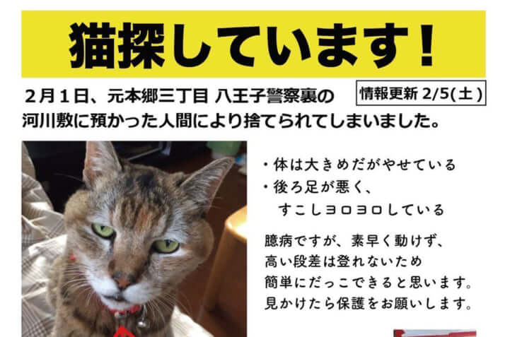 警察が 拾いネコ を勝手に河原に放して騒動に 動物遺棄にあたる可能性も 抜粋 デイリー新潮