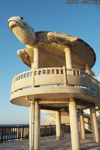 12号グラビア巨大ウミガメ_7