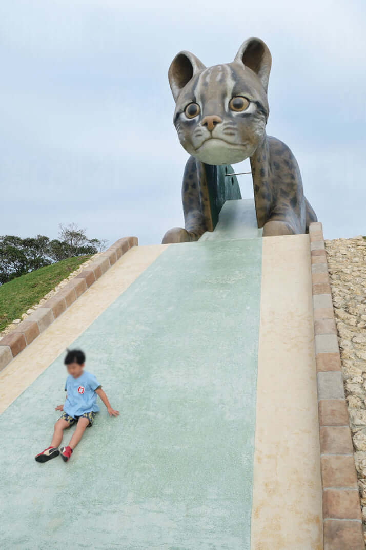 12号グラビア巨大ヤマネコ_2