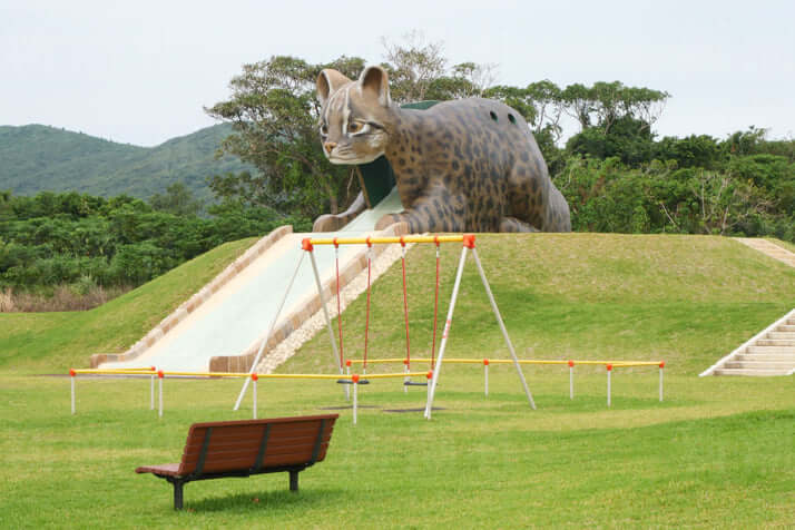 12号グラビア巨大ヤマネコ_4