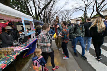 14号グラビア米国人お花見_5