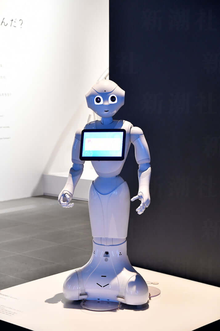 14号グラビアロボット_16