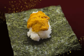 ウニのお寿司イメージ