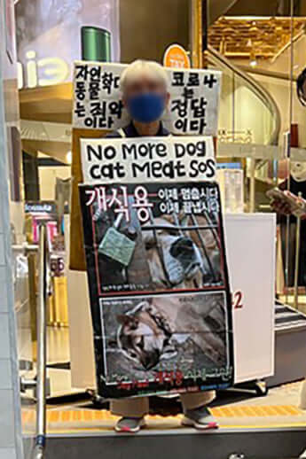 ソウルルポ後編6