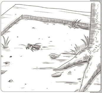 イラスト・まんきつ