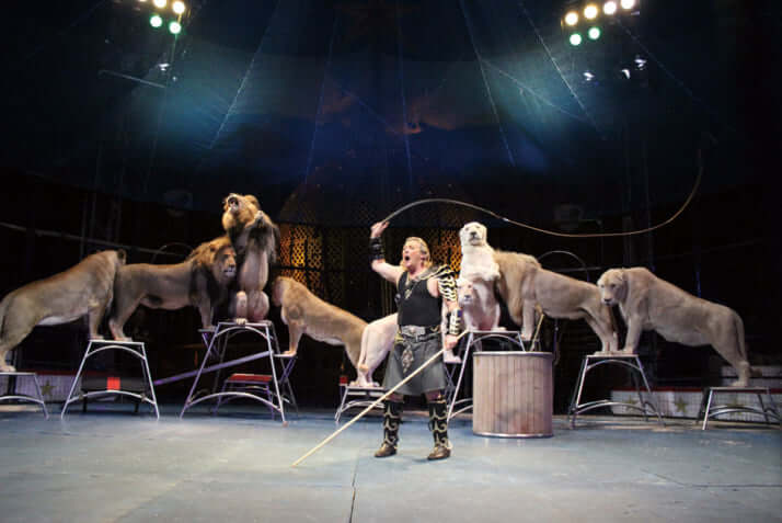 木下サーカス_5