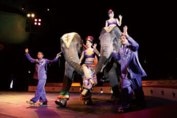 木下サーカス_10