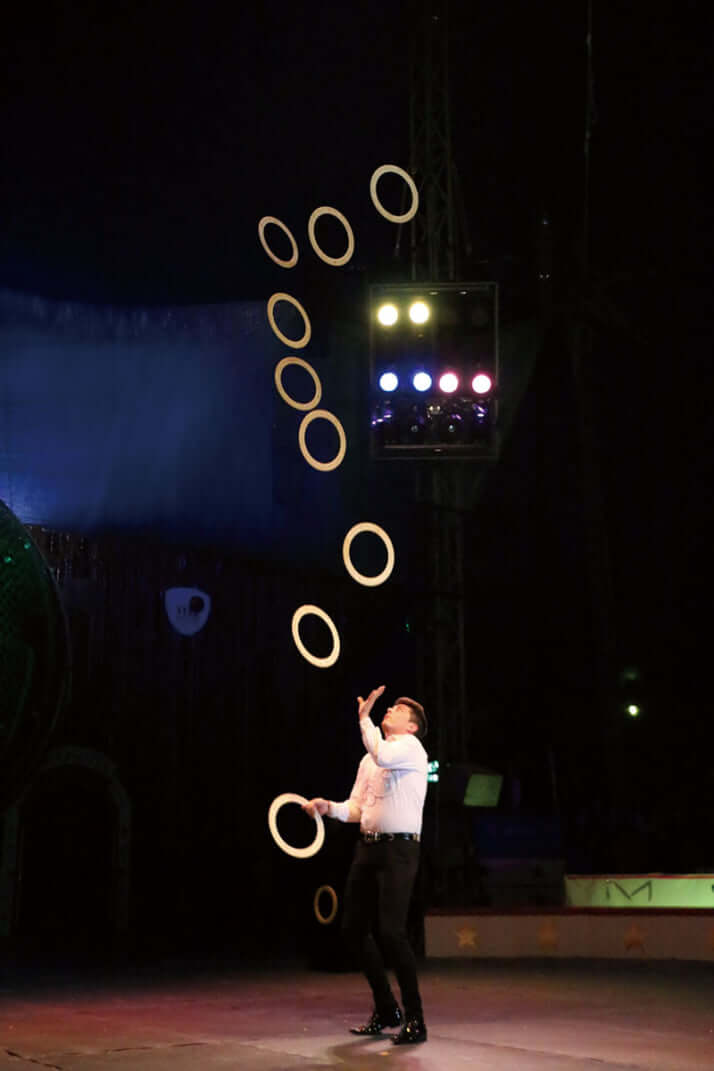 木下サーカス_12