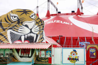 木下サーカス_17