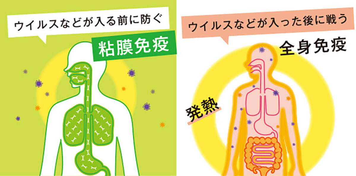 全身免疫調節治療が効果がない場合はどうなりますか?他の治療法はありますか?