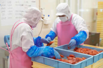 めんたいパーク