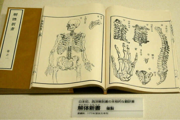 『解体新書』