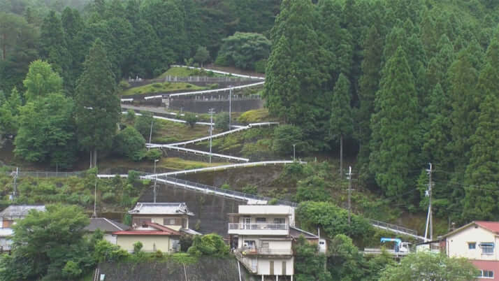 廃校の通学路