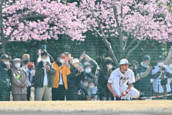 23年8号グラビア WBC （ダルビッシュ有）_7