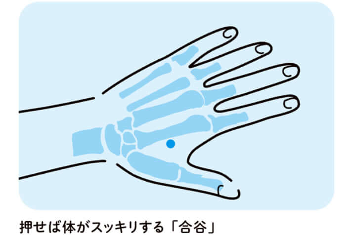 頭痛に効果のあるツボ「合谷（ごうこく）」