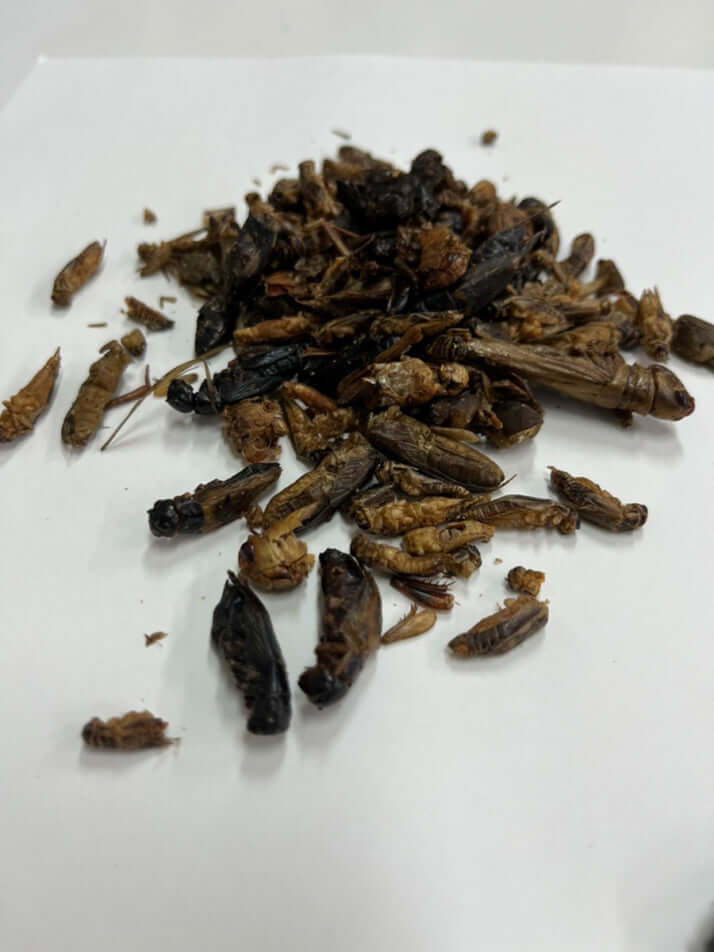 「バッタ目ミックス」の中身