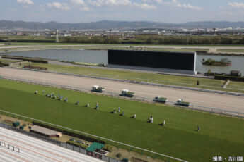 23年15号グラビア 京都競馬場_1