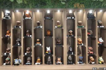 23年15号グラビア 京都競馬場_8