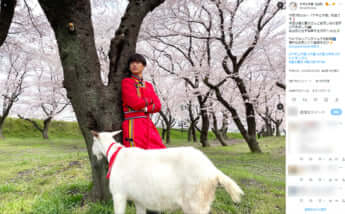 「ヤギと大悟」