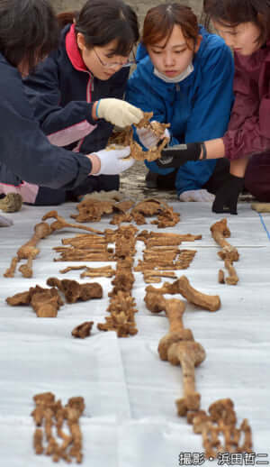 23年19号グラビア 沖縄の戦い_3（遺骨）