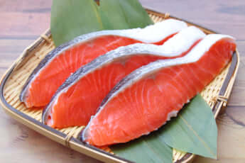 鮭イメージ