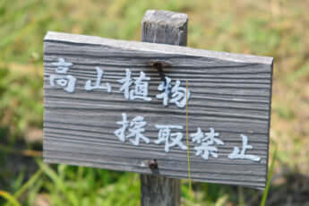 日本一低い山15