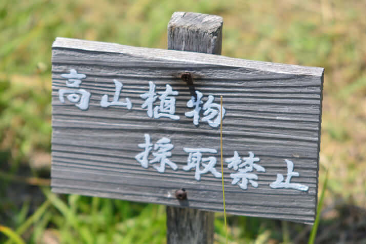 日本一低い山15