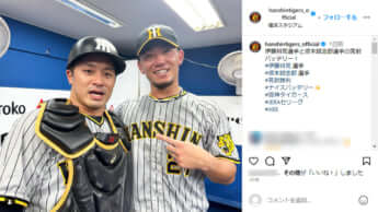 阪神タイガース