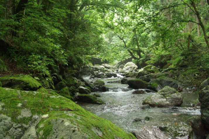 登りの沢、下りの尾根