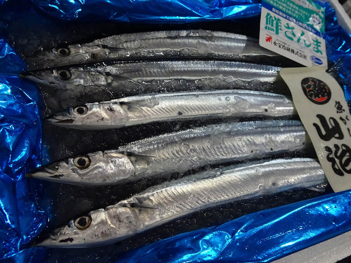 「大衆魚」の誕生 戦間期における水産物産業の形成と展開 大衆魚の誕生 大衆魚」の誕生: 戦間期における水産物産業の形成と展開 | 植田