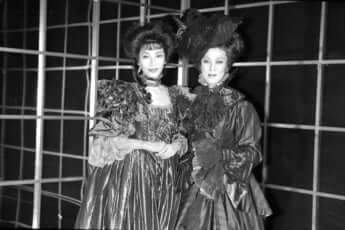 麻美れい、坂東玉三郎