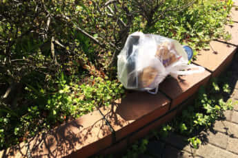 ポイ捨てされた空き缶プラごみのビニール袋イメージ