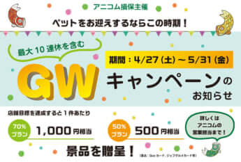 アニコム主催のクーリク社員向け「ペット保険販促チラシ」