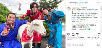 「ヤギと大悟」