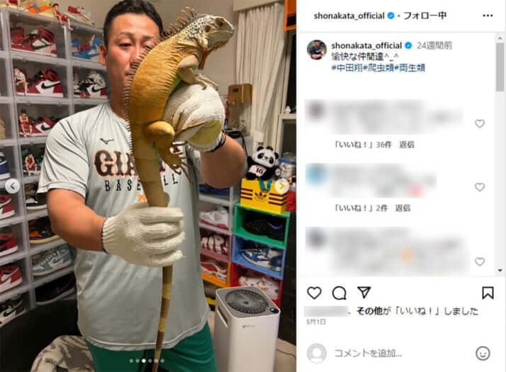 中田翔