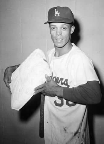 モーリー・ウィルス