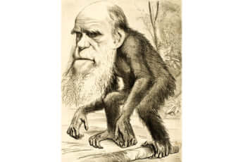 ダーウィンの風刺画