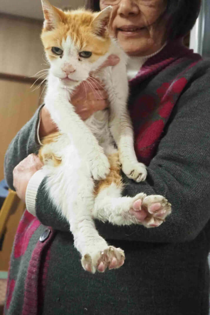 愛猫と相嶋美代子さん