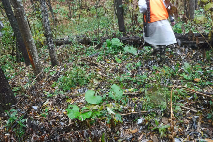 猟師がヒグマに襲われた現場
