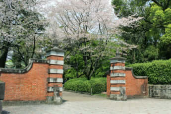 旧制第五高等学校（現熊本大学、熊本）イメージ