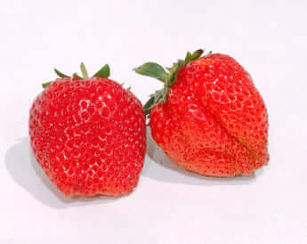 イチゴイメージ