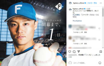 北海道日本ハムファイターズ