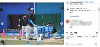 北海道日本ハムファイターズ