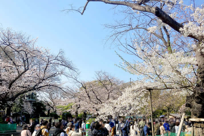 上野恩賜公園（台東区）イメージ