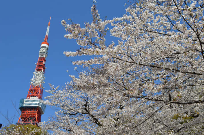 芝公園（港区）イメージ