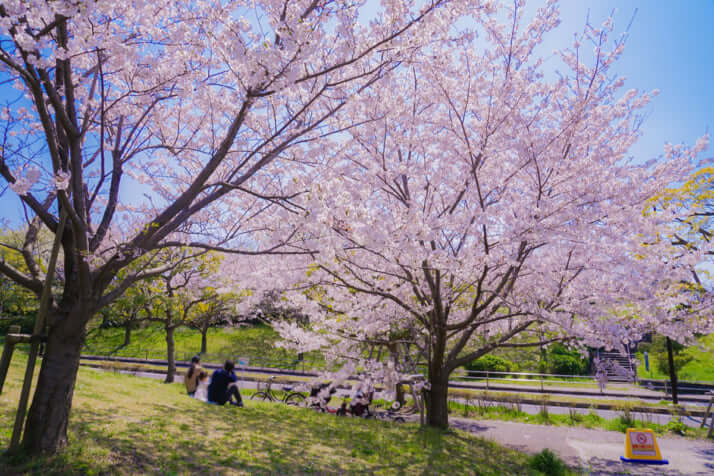 葛西臨海公園（江戸川区）イメージ