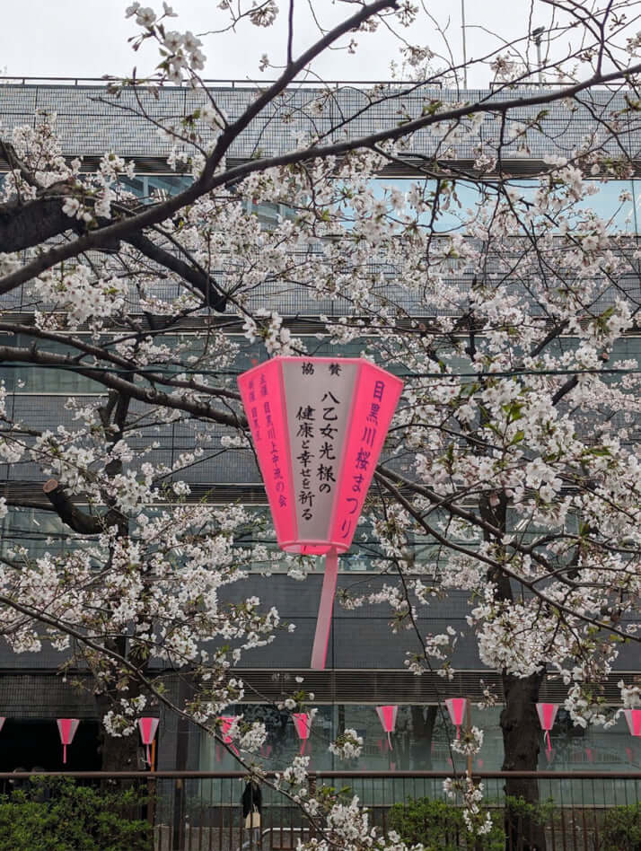 「八乙女光様の健康と幸せを祈る」